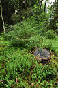 BUITEN BEELD Foto: 301154