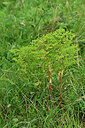 BUITEN BEELD Foto: 301177