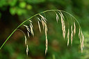 BUITEN BEELD Foto: 301178