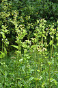 BUITEN BEELD Foto: 301181