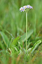 BUITEN BEELD Foto: 301225