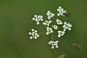 BUITEN BEELD Foto: 301231