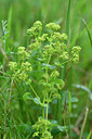 BUITEN BEELD Foto: 301249