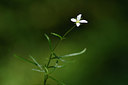 BUITEN BEELD Foto: 301261