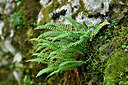 BUITEN BEELD Foto: 301262
