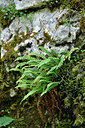 BUITEN BEELD Foto: 301264