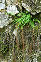 BUITEN BEELD Foto: 301286