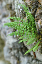 BUITEN BEELD Foto: 301287