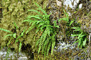 BUITEN BEELD Foto: 301305