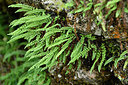 BUITEN BEELD Foto: 301307