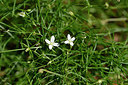 BUITEN BEELD Foto: 301319