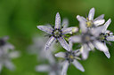 BUITEN BEELD Foto: 301350