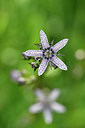 BUITEN BEELD Foto: 301351
