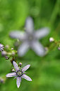BUITEN BEELD Foto: 301352
