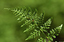 BUITEN BEELD Foto: 301366