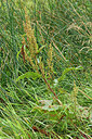 BUITEN BEELD Foto: 301379