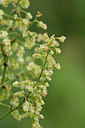 BUITEN BEELD Foto: 301380