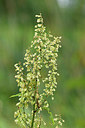 BUITEN BEELD Foto: 301381