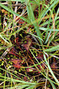 BUITEN BEELD Foto: 301393
