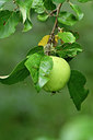 BUITEN BEELD Foto: 301400