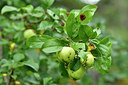 BUITEN BEELD Foto: 301401