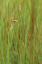 BUITEN BEELD Foto: 301408