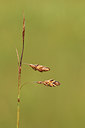 BUITEN BEELD Foto: 301410