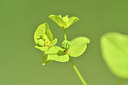 BUITEN BEELD Foto: 301416