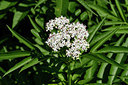 BUITEN BEELD Foto: 301424