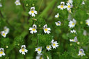 BUITEN BEELD Foto: 301426