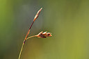 BUITEN BEELD Foto: 301438