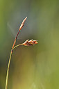 BUITEN BEELD Foto: 301439