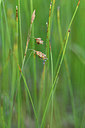 BUITEN BEELD Foto: 301440