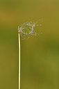 BUITEN BEELD Foto: 301443