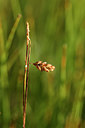 BUITEN BEELD Foto: 301445