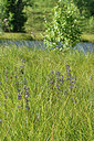 BUITEN BEELD Foto: 301452