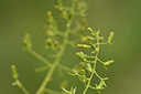 BUITEN BEELD Foto: 301464