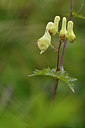 BUITEN BEELD Foto: 301468