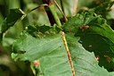 BUITEN BEELD Foto: 301471