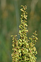 BUITEN BEELD Foto: 301475