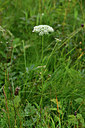 BUITEN BEELD Foto: 301490
