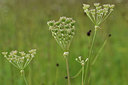 BUITEN BEELD Foto: 301501