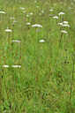 BUITEN BEELD Foto: 301502