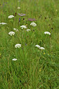 BUITEN BEELD Foto: 301504