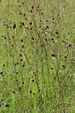 BUITEN BEELD Foto: 301505