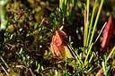 BUITEN BEELD Foto: 301532