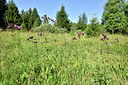 BUITEN BEELD Foto: 301545