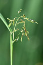 BUITEN BEELD Foto: 301561