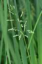 BUITEN BEELD Foto: 301562