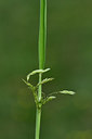 BUITEN BEELD Foto: 301566
